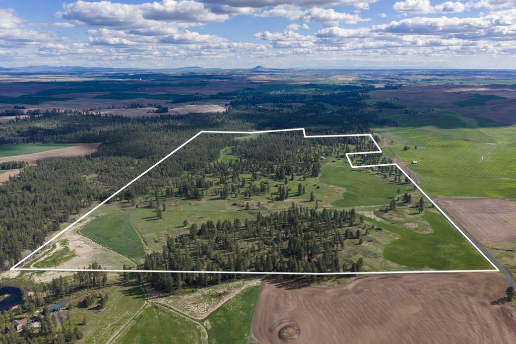 Photo of 32312 S North Pine Creek Rd, Spangle, WA 99031 (MLS # 202616399)