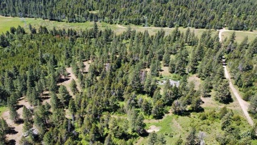 Photo of 00 N Waldrons Ln Ln, Chattaroy, WA 99003 (MLS # 202625689)