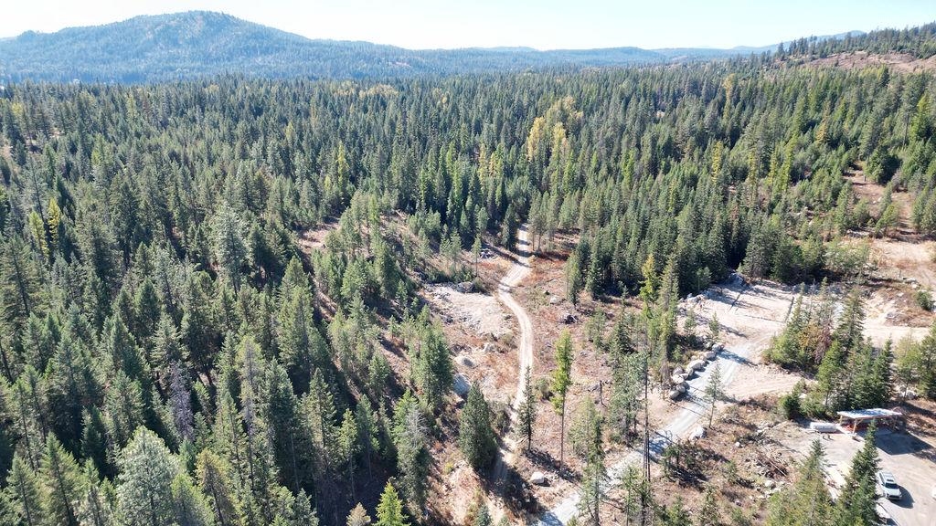 Newport, Washington 99156, United States, ,Land,Active,11342