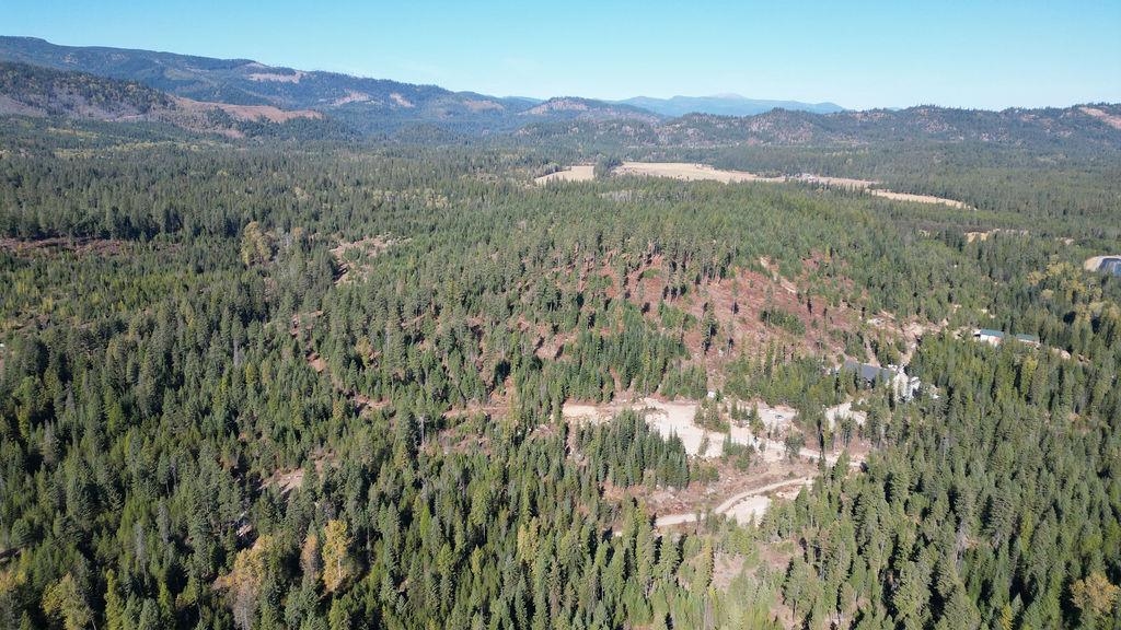 Newport, Washington 99156, United States, ,Land,Active,11342