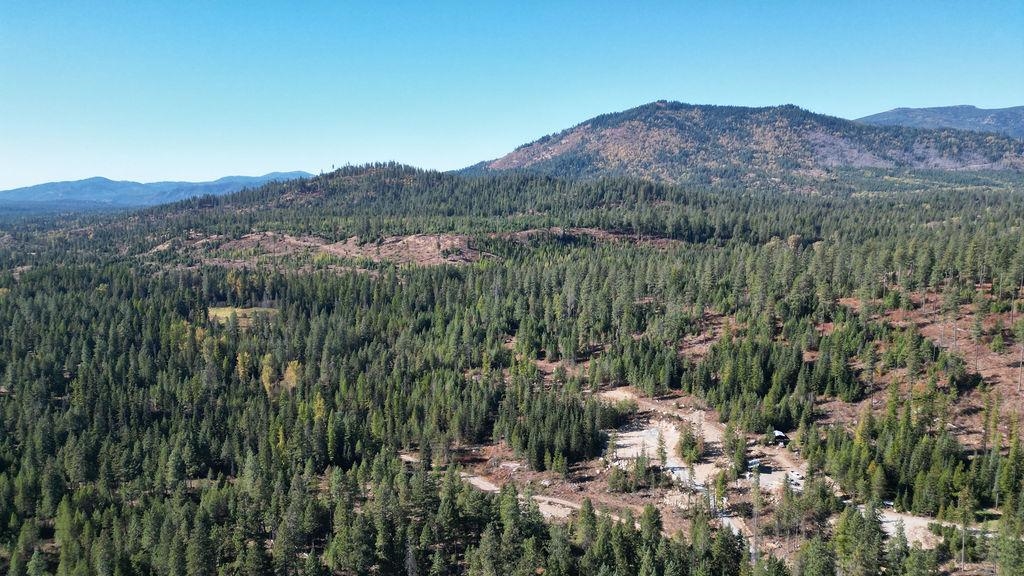 Newport, Washington 99156, United States, ,Land,Active,11342