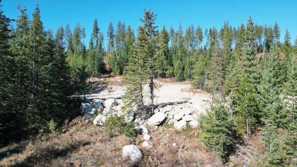 Newport, Washington 99156, United States, ,Land,Active,11342