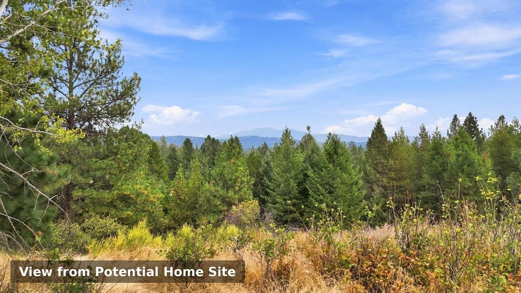 Photo of 44xxx E North Park Ln, Deer Park, WA 99006 (MLS # 202622932)
