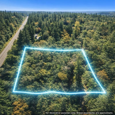 0 OVERPASS RD, OTHER, WA 98232 - Image 9c3cd72dc48c237a1d3ec766424df7eb/3170976808