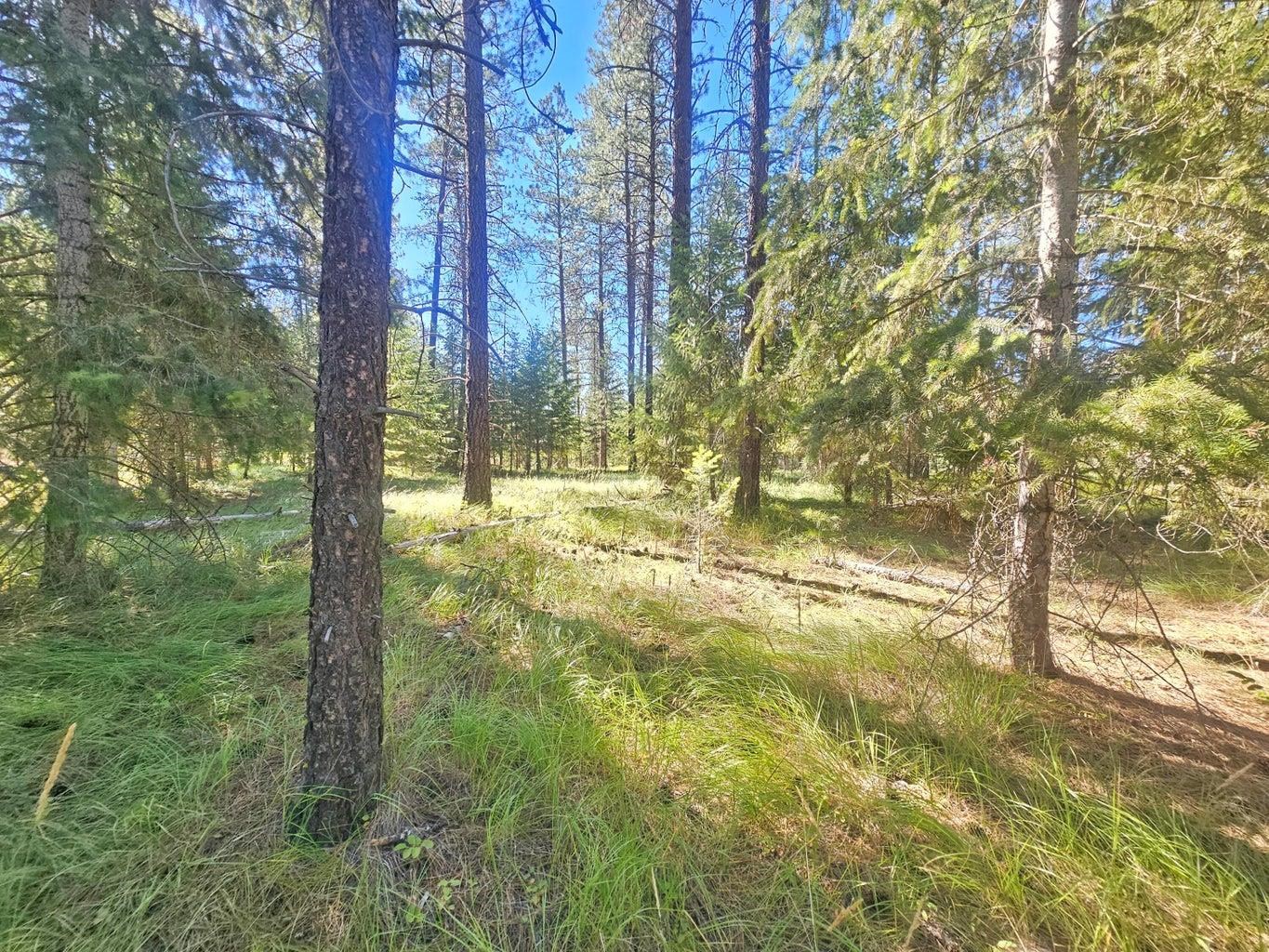 Photo 1 of 14 — 270 Eagle Dr, Chewelah, WA 99109