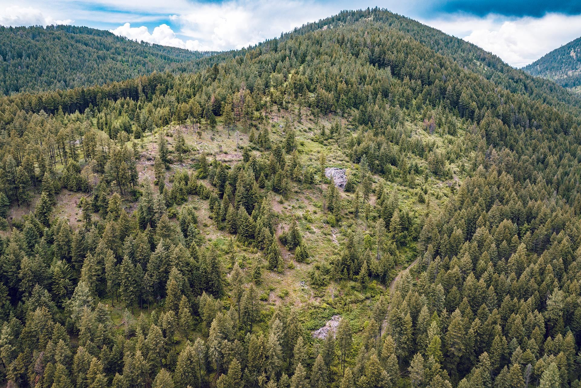 Photo 1 of 9 of 13XX Clugston Creek-Onion Creek Rd land