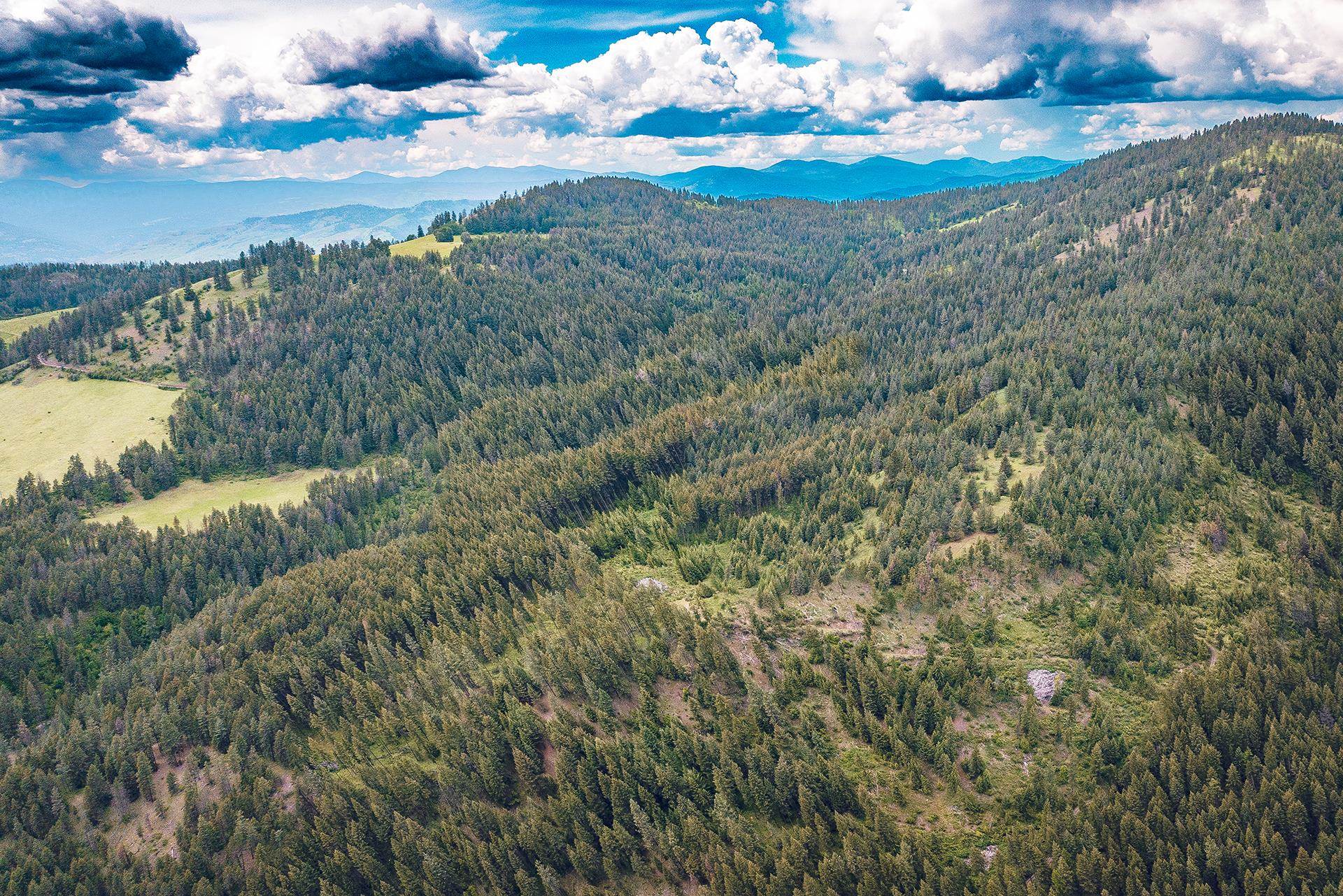 Photo 6 of 9 of 13XX Clugston Creek-Onion Creek Rd land
