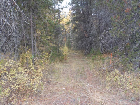 Featured picture for the property 202323353