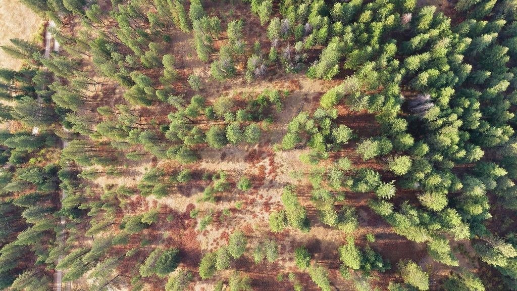 Photo of NKA Timberlane Cir, Spokane, WA 99021 (MLS # 202624342)