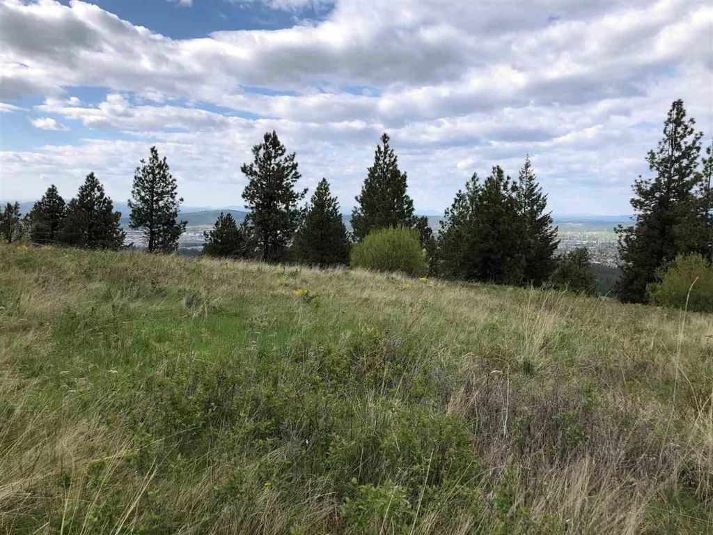 Photo of 2827 S Park Ln, Spokane, WA 99212 (MLS # 202616561)