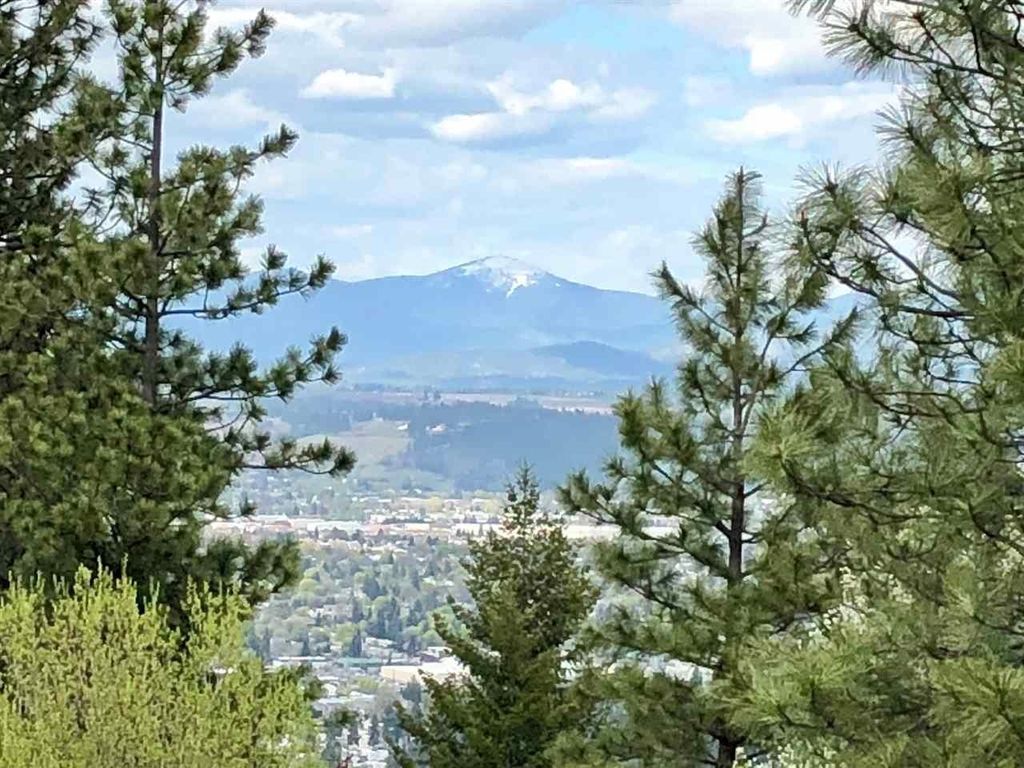 Photo of 2827 S Park Ln, Spokane, WA 99212 (MLS # 202616561)