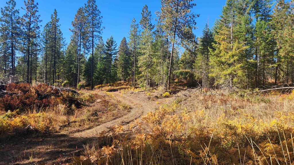 Photo of 43xx Lyons Hill Rd, Springdale, WA 99173 (MLS # 202525524)