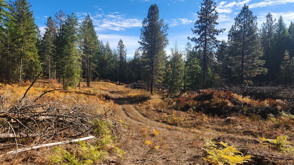 Photo of 43xx Lyons Hill Rd, Springdale, WA 99173 (MLS # 202525524)