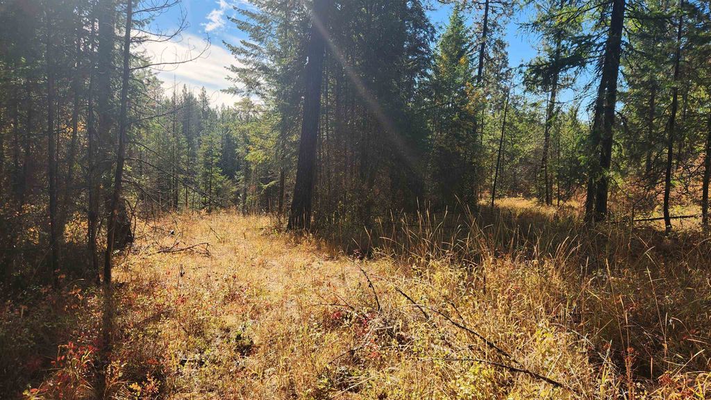 Photo of 43xx Lyons Hill Rd, Springdale, WA 99173 (MLS # 202525524)