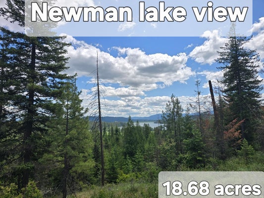 20300 E MOUNTAIN VIEW RD, NEWMAN LAKE, WA 99025 - Image a279d93ec00e3abe2a62033e4bdca396/1984223086