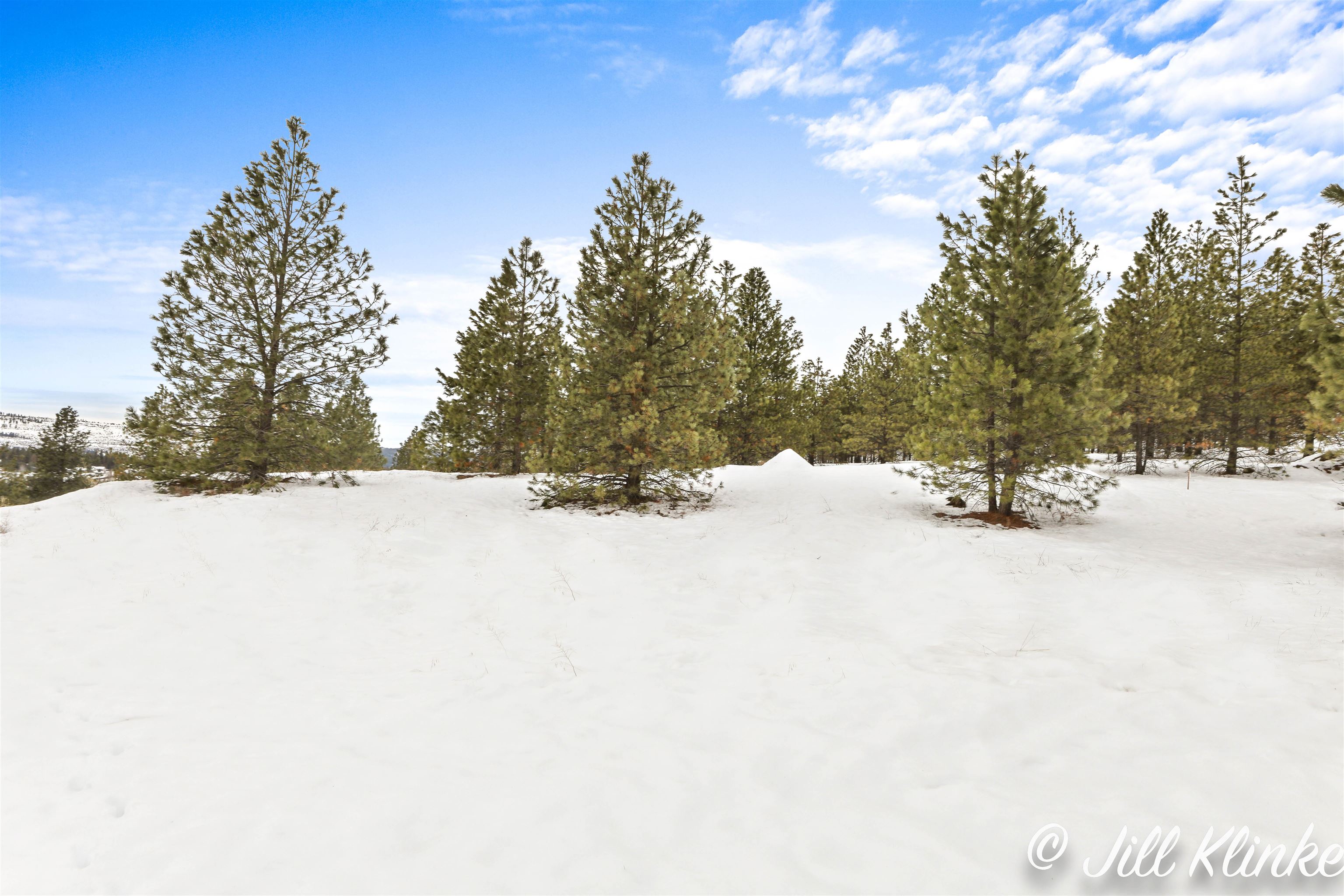 Photo 14 of 16 of Lot 42 Westview Dr land