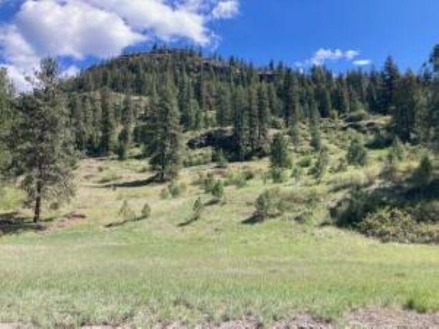 35XX ROCKCUT Rd - Photo 3