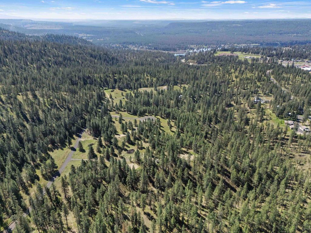 Photo of 5880 Lot 3 Lower Weaver Way, Nine Mile Falls, WA 99026 (MLS # 202616497)