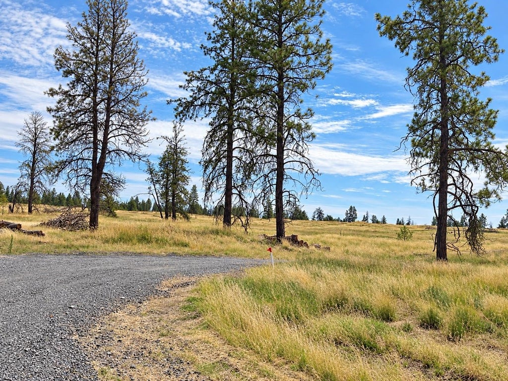 Photo of XXXX S Bootstrap Ln, Cheney, WA 99004 (MLS # 202625729)