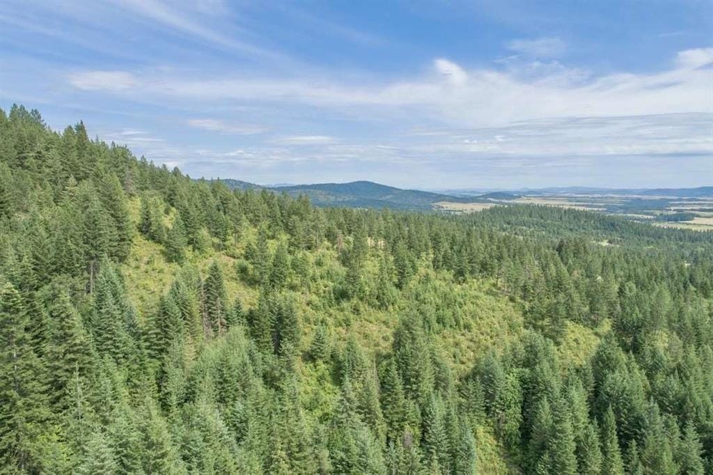 Photo of 11507 S Alpine Fern Ln, Rockford, WA 99030 (MLS # 202619259)
