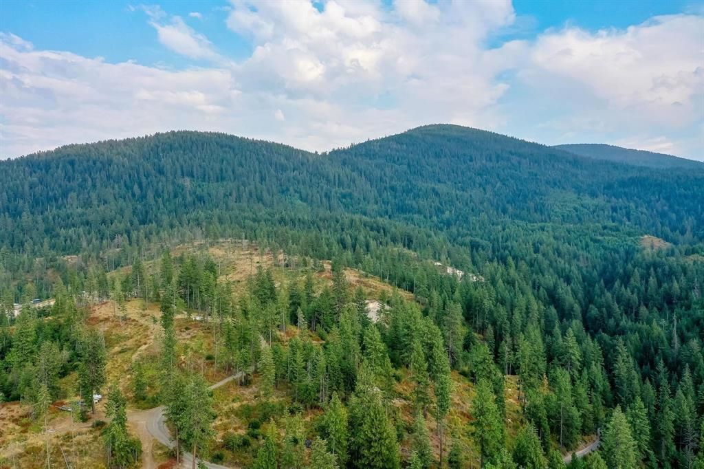 Photo of 31xxx N South Jackson Rd, Elk, WA 99009 (MLS # 202615162)