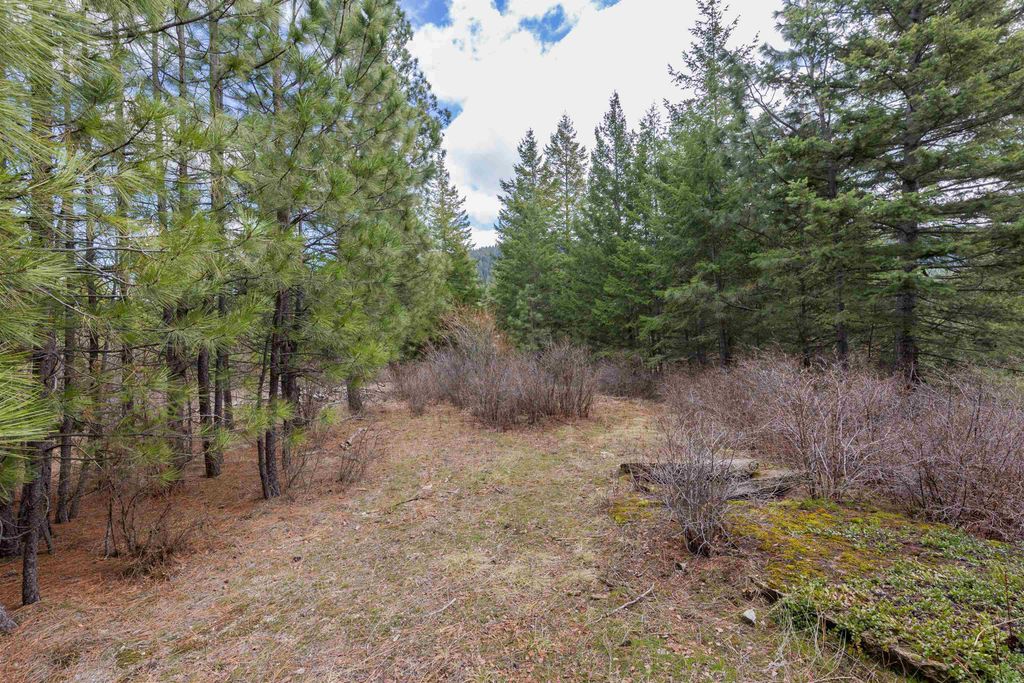 Photo of 31xxx N South Jackson Rd, Elk, WA 99009 (MLS # 202615162)