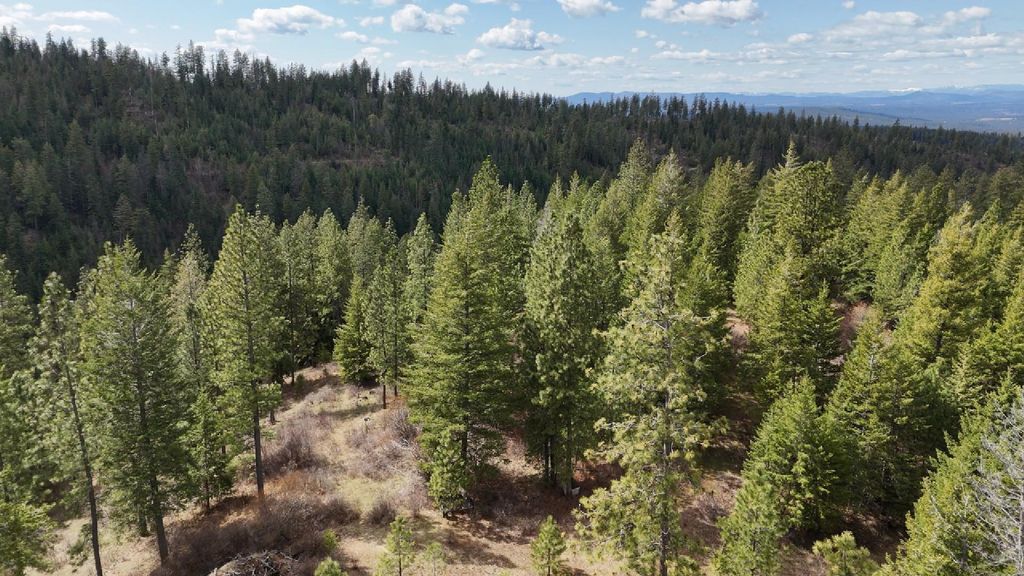 Photo of 31xxx N South Jackson Rd, Elk, WA 99009 (MLS # 202615162)