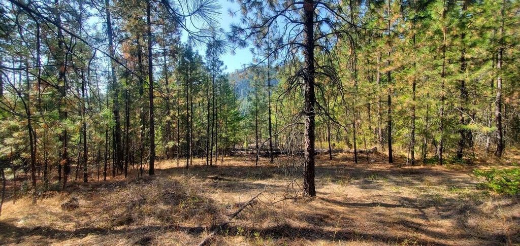 Photo of 3733-XX Sand Creek Rd, Kettle Falls, WA 99141 (MLS # 202616388)