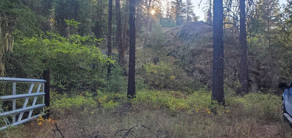 Photo of 3733-XX Sand Creek Rd, Kettle Falls, WA 99141 (MLS # 202616388)