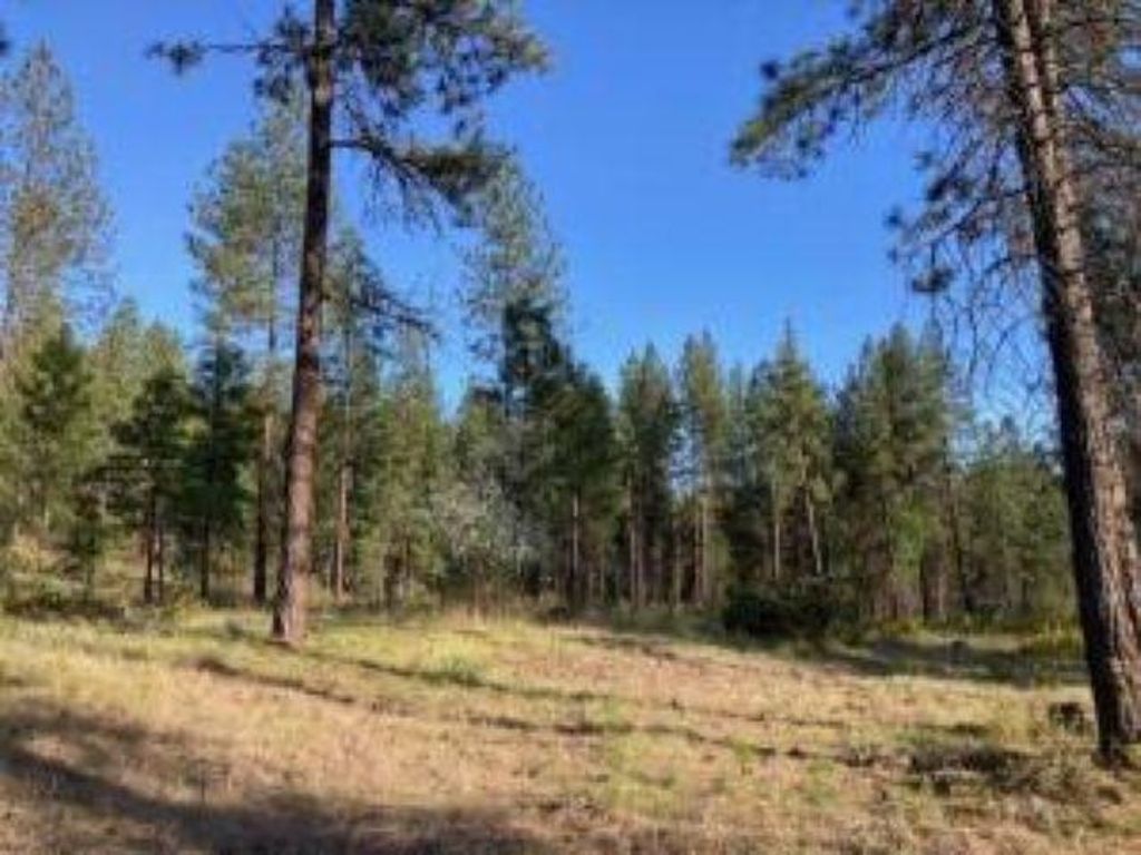 Photo of 1172 FUMI Cir, Kettle Falls, WA 99141 (MLS # 202616275)