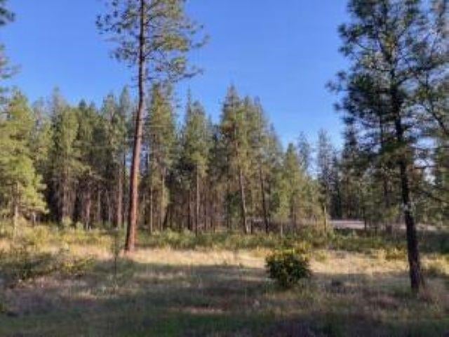 1172 FUMI Cir - Photo 4