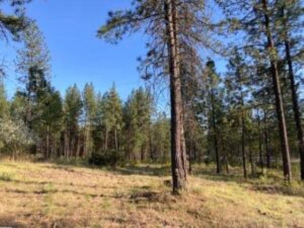 Photo of 1172 FUMI Cir, Kettle Falls, WA 99141 (MLS # 202616275)