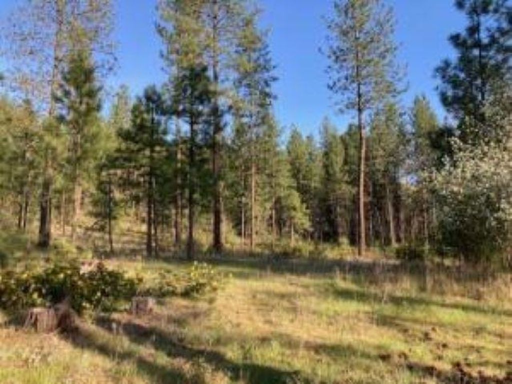 Photo of 1172 FUMI Cir, Kettle Falls, WA 99141 (MLS # 202616275)