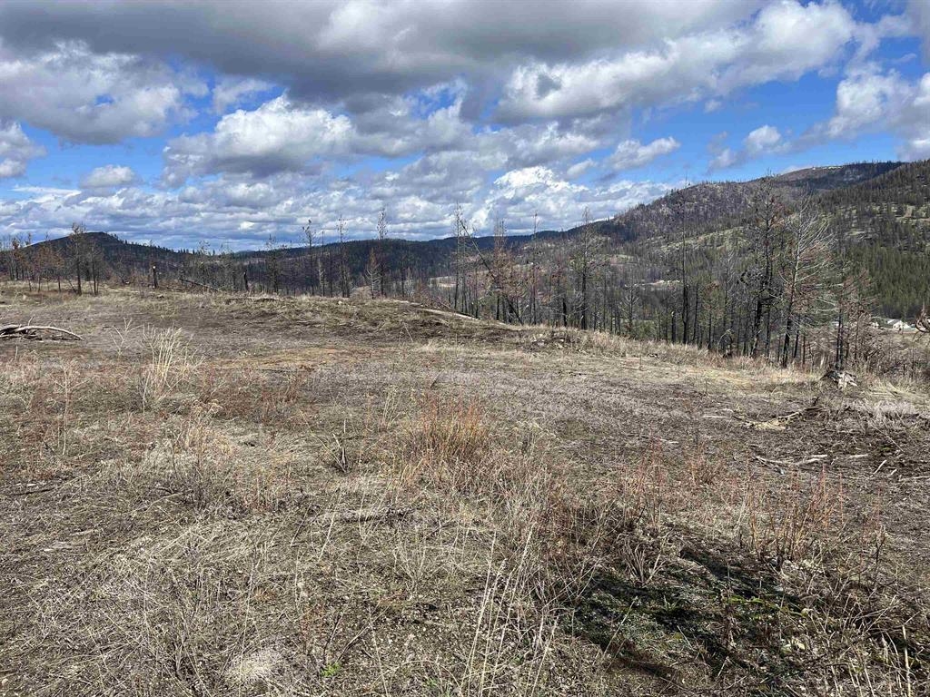 Photo 1 of 13 — Lot 8 Rail Canyon Rd, Springdale, WA 99173