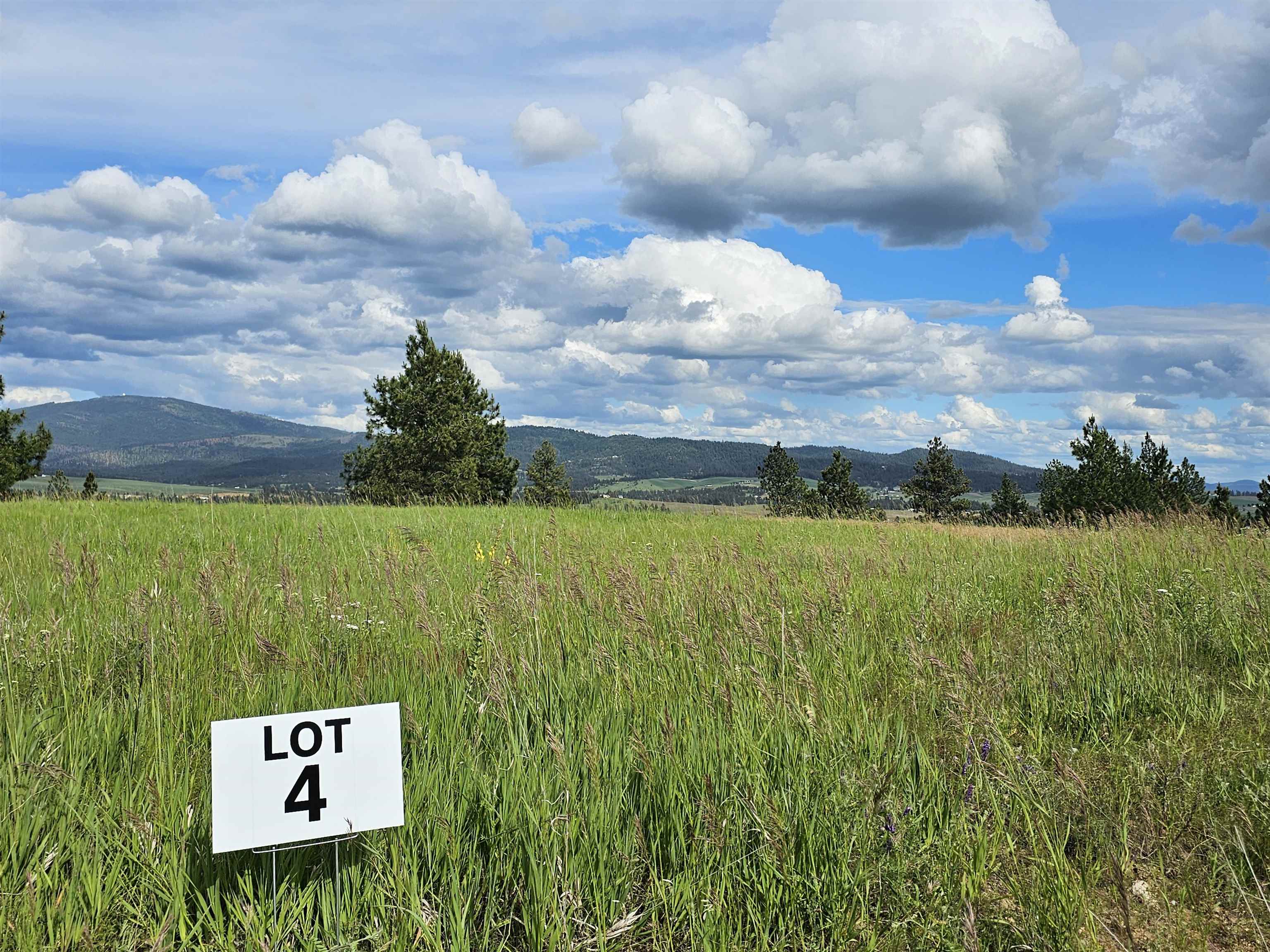 Photo 1 of 36 — NNA S Sands Rd, Valleyford, WA 99036