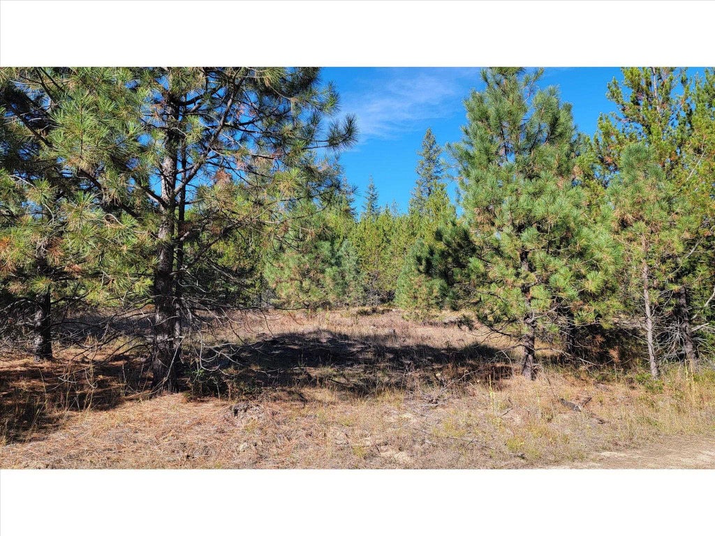 Photo of NKN Northshore Diamond Lake Rd, Newport, WA 99156 (MLS # 202626059)