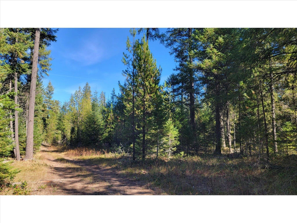Photo of NKN Northshore Diamond Lake Rd, Newport, WA 99156 (MLS # 202626059)
