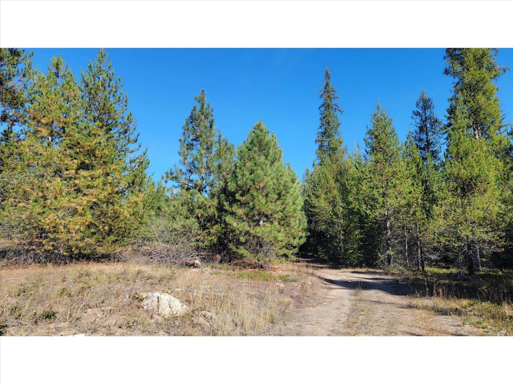 Photo of NKN Northshore Diamond Lake Rd, Newport, WA 99156 (MLS # 202626059)