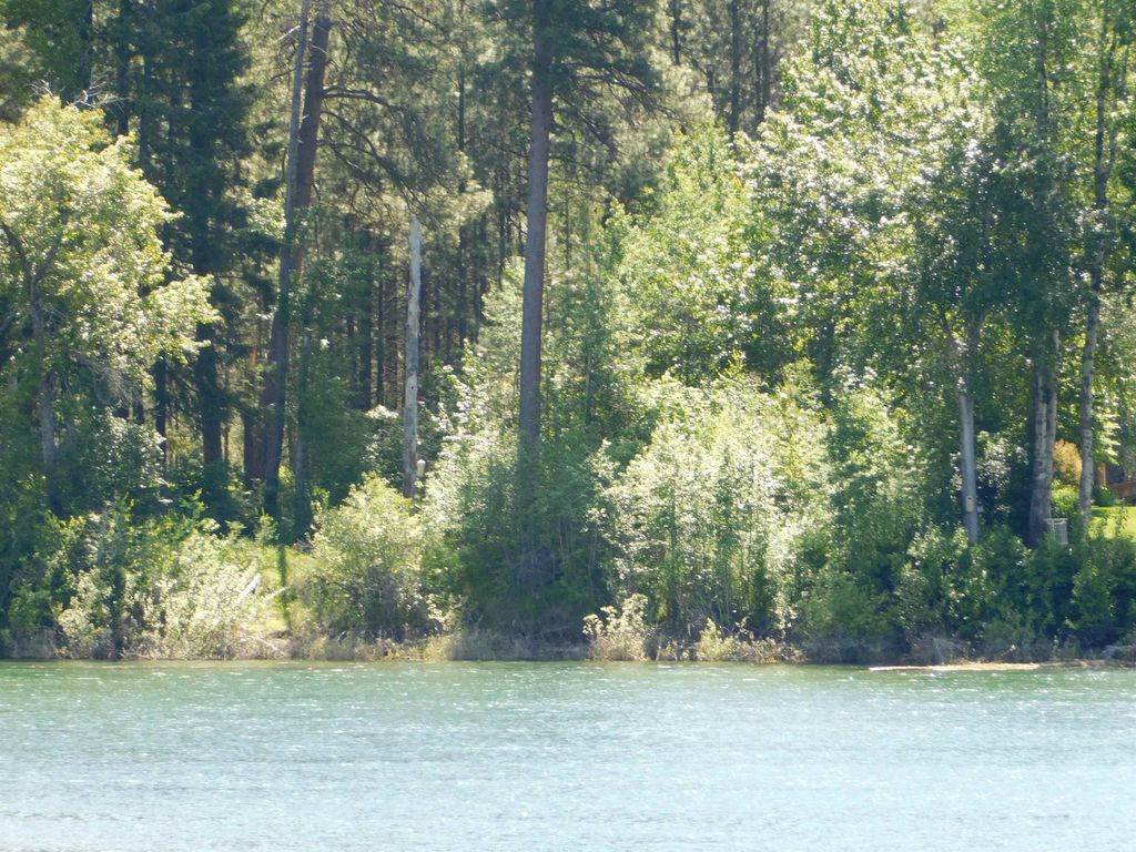 Photo of 527 Dilling Dr, Cusick, WA 99119 (MLS # 202619138)
