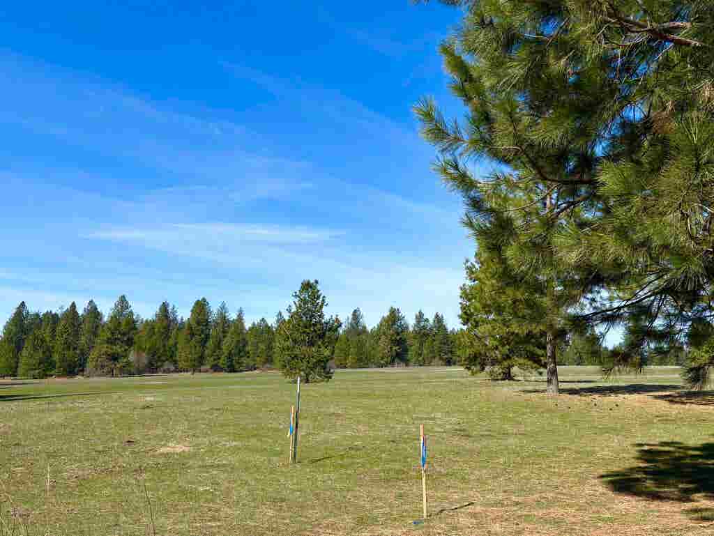 Photo of 200 Brook Dr, Elk, WA 99009 (MLS # 202622309)