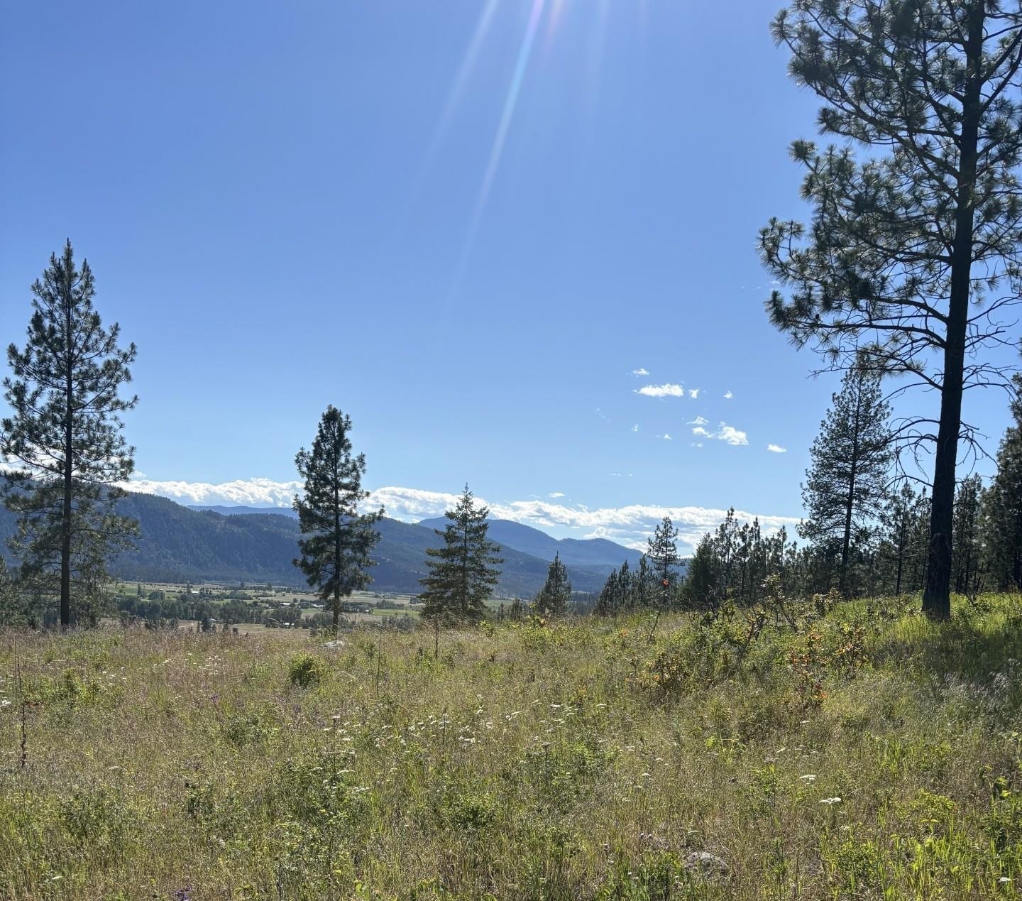 Photo 1 of 21 — 2392 Cozy Nook Rd, Chewelah, WA 99109