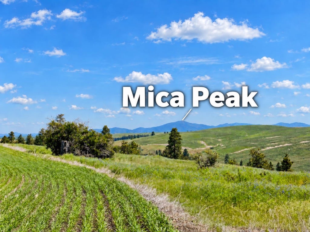 Photo of 40 Acres 11900 Hays Rd, Spangle, WA 99031 (MLS # 202624627)