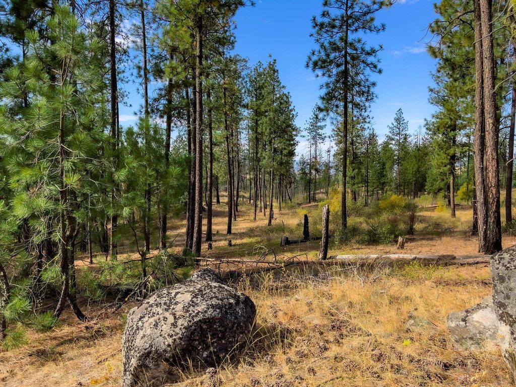 Photo of TBD Coyote Canyon Rd, Fruitland, WA 99129 (MLS # 202525558)