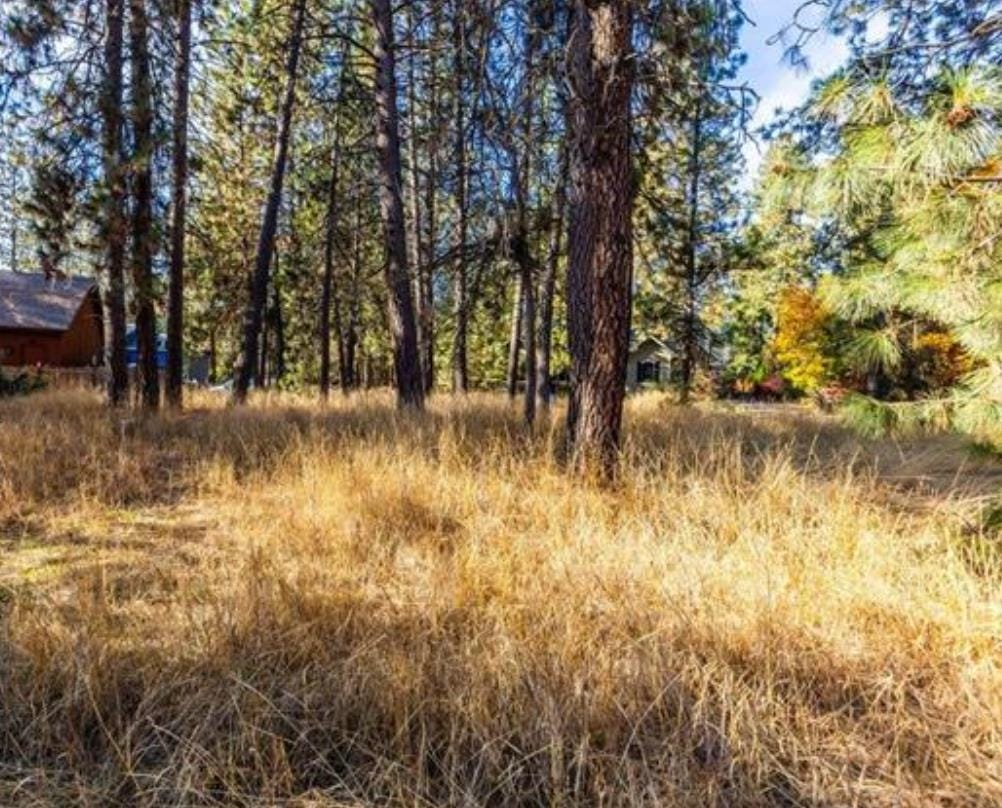 Photo of XXXX S Madelia St, Spokane, WA 99223 (MLS # 202622239)