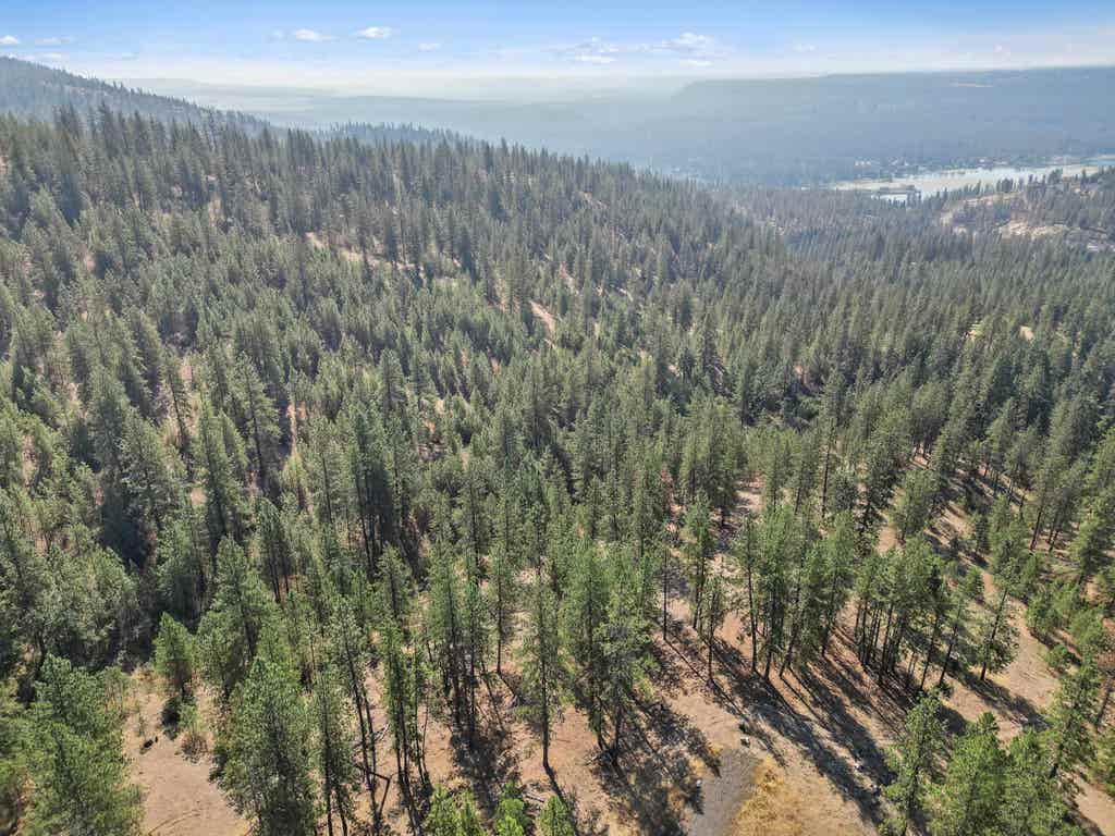 Photo of NKA Lower Weaver Way, Deer Park, WA 99006 (MLS # 202622024)