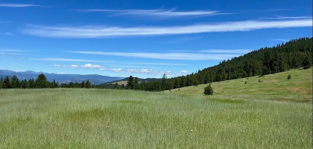 Photo of 3635 B Breckenridge Rd, Rice, WA 99167 (MLS # 202619201)