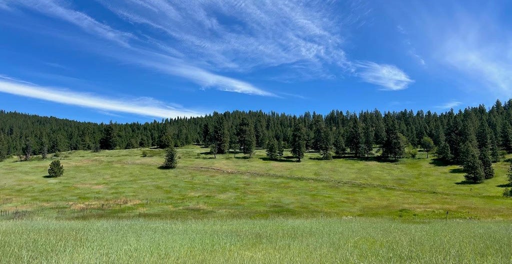 Photo of 3635 B Breckenridge Rd, Rice, WA 99167 (MLS # 202619201)
