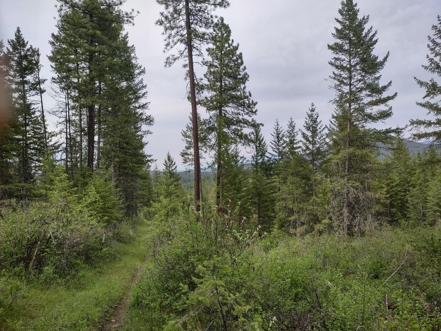 Photo 1 of 11 — XXX E Jump Off Rd, Valley, WA 99181