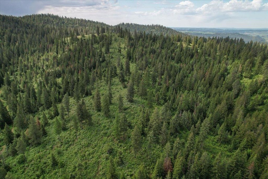 Photo of NNA E Bill Gulch Rd, Mead, WA 99021 (MLS # 202616169)