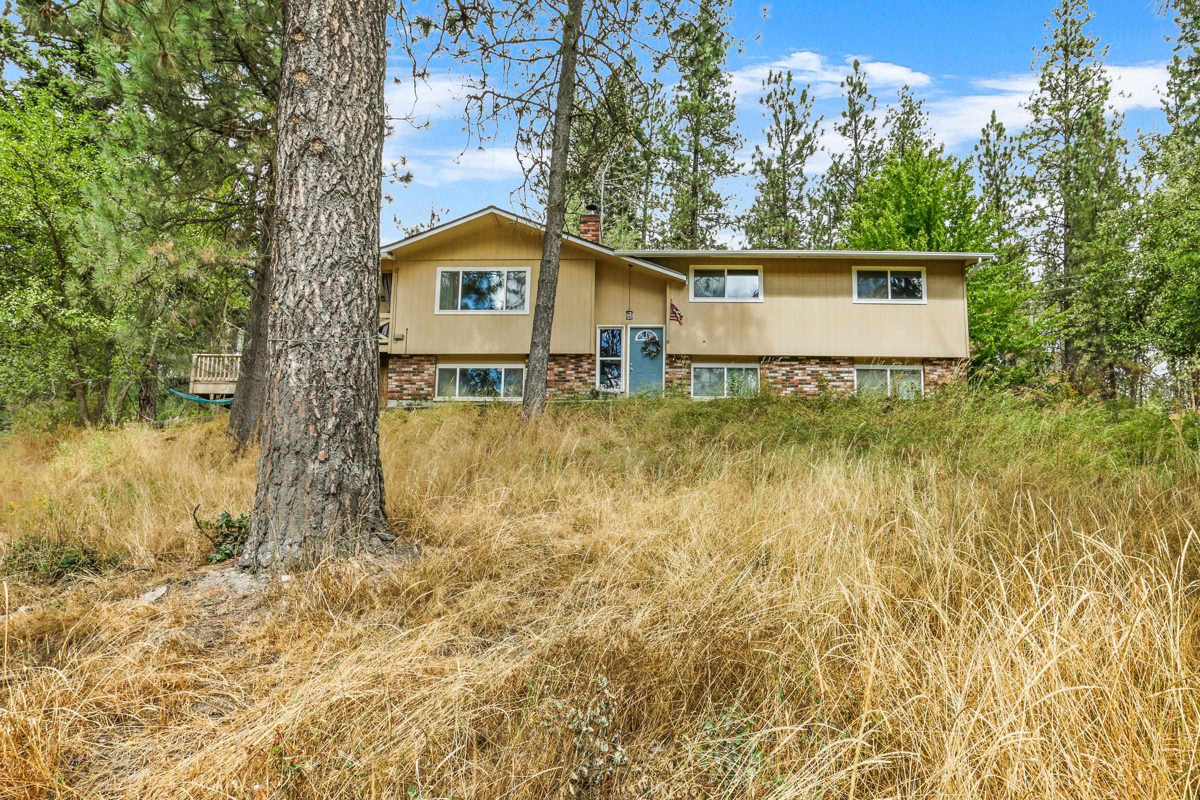 View Mead, WA 99021 house